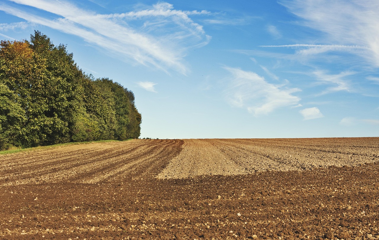 Rejoignez-nous en tant que Partenaire pour un Développement Durable et Innovant